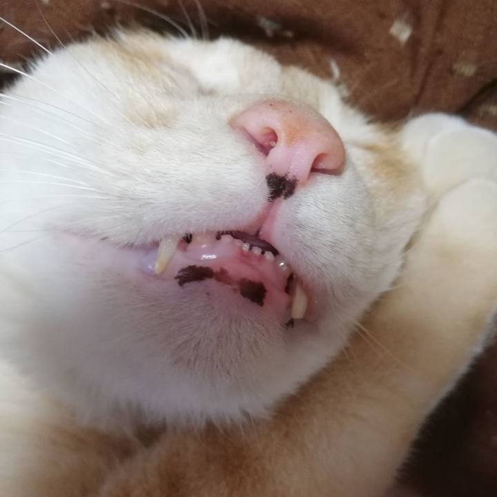 74362ca7 a952 4b28 b23b 7c8ea76a9822 1648036105820