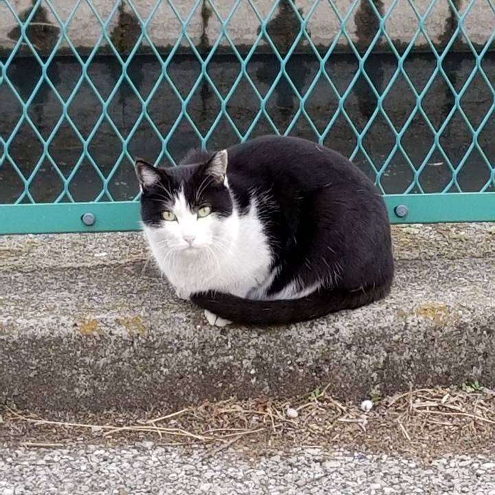 7436bfcc 5574 406e 893d 1a46dec95828 1616125384883