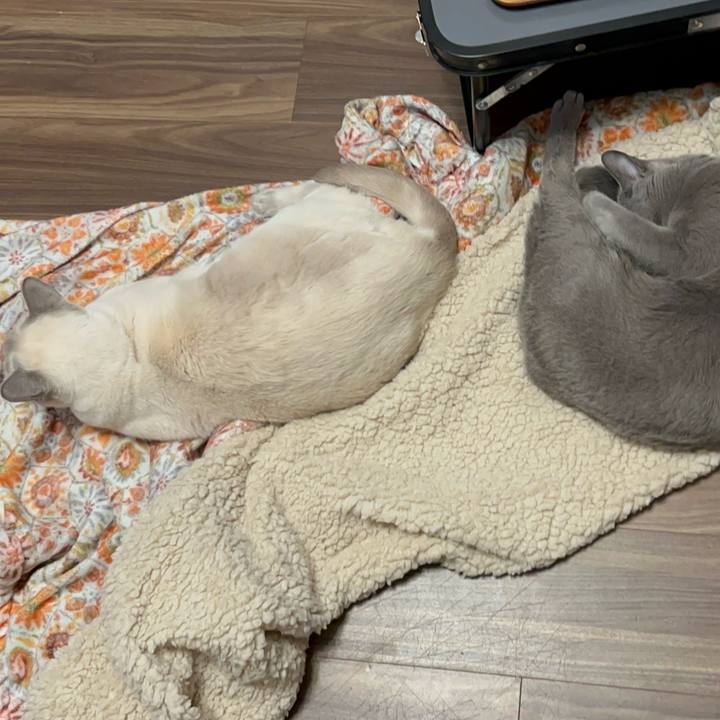 7436e01c 1833 4cc1 b837 224daf14db89 1739874720540