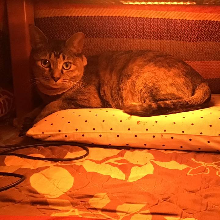 74370e1a 0bc6 4bf2 aee6 0457e1df22db 1610425762911