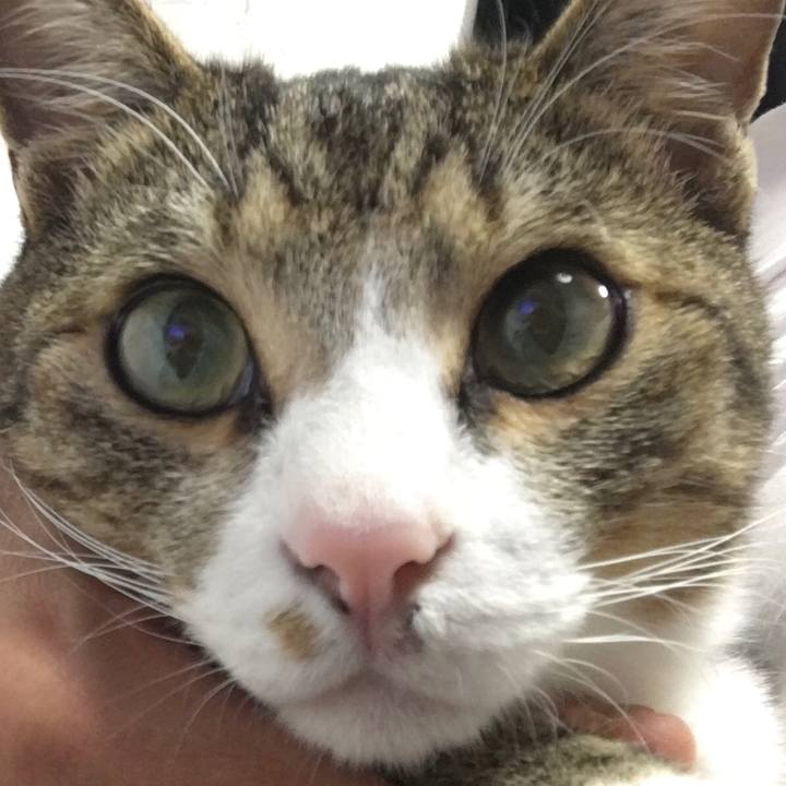 743784eb 3fe9 4351 b29c 977581def38b 1670026264408