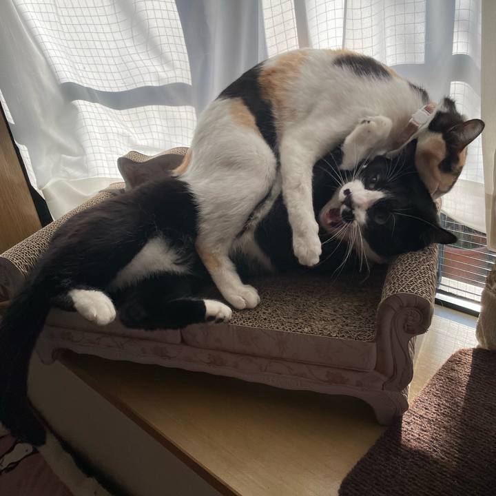 7437a0c9 5ad7 430f 9fee 93383af56c6e 1677279948041