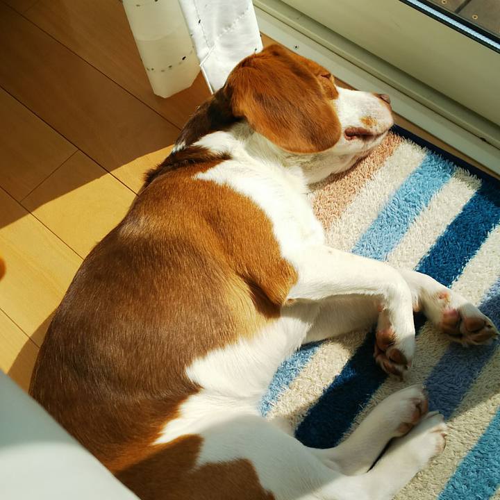 7437b9c4 0513 4b94 a4f3 ea106dfcf99a 1519444172432