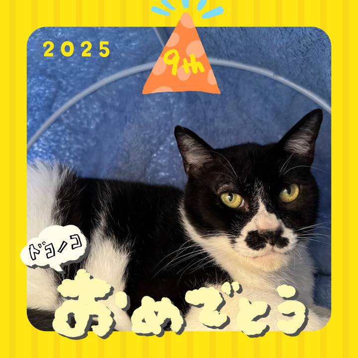 7437f7af 2708 43fe 9bff 0f43bea1b091 1749095595519