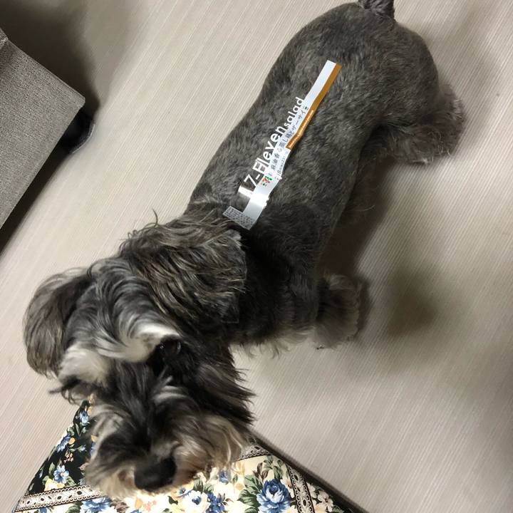 7437f7f1 9af9 466b bb95 1f485160b89d 1575456979740