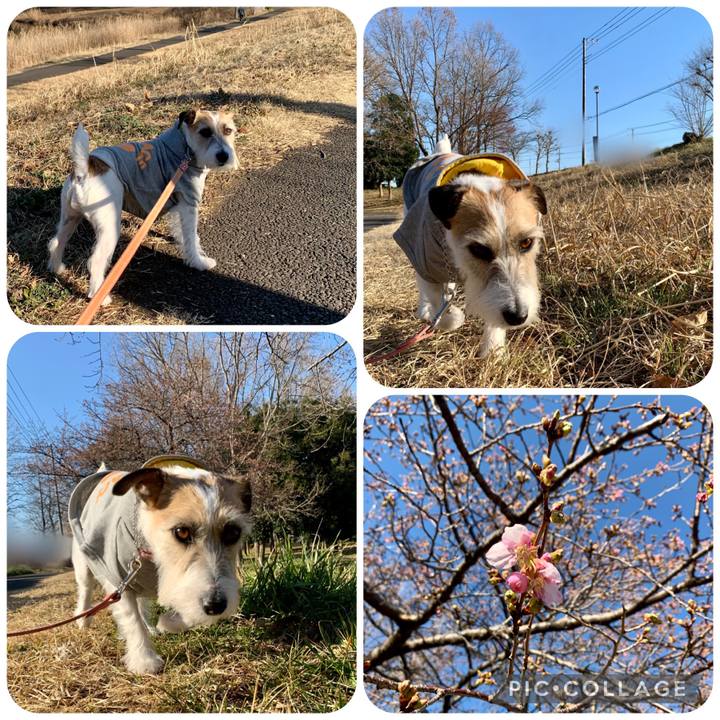 74380090 171c 42a3 a766 b5e408b4ff2a 1677495088044