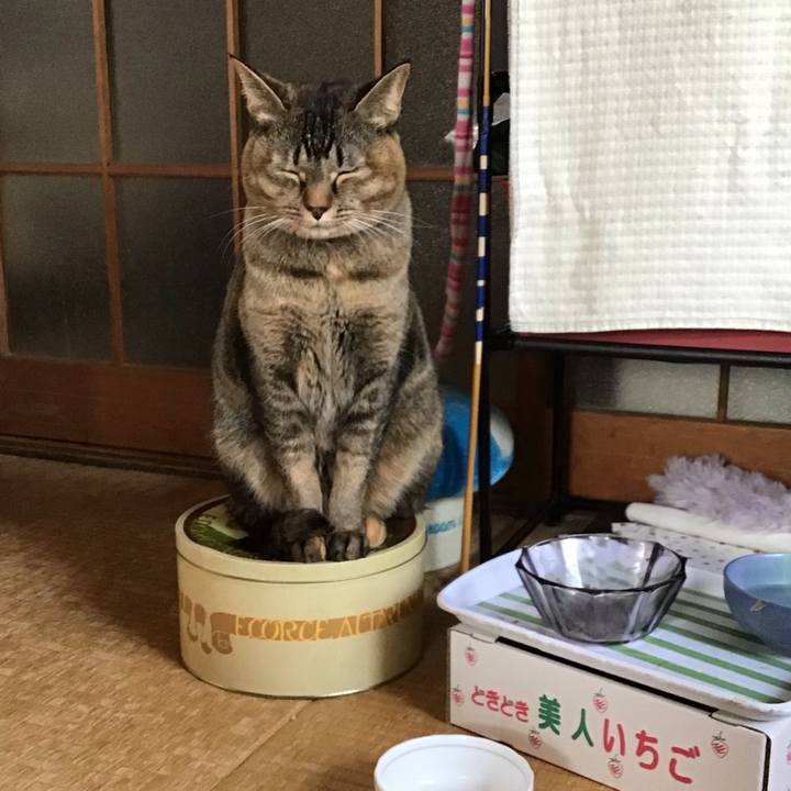 74382922 408d 43b3 885b 946af5dd6ed6 1637466312794