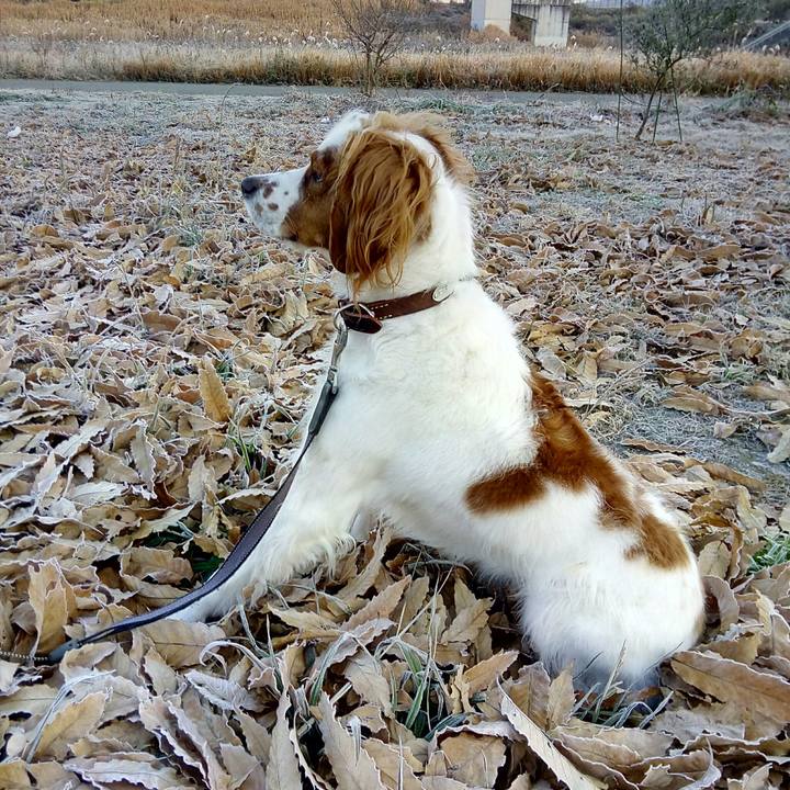 743849dd f892 4fd4 95b3 5c99fcf9ed0d 1513728934383