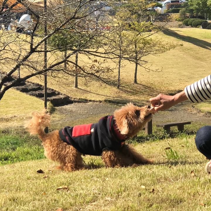 74384f23 2645 464d a76e 0e347b80c0bc 1603087292832