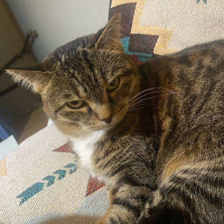 743867c2 e795 45e0 a49a 6e2060a2b2be 1716130386304