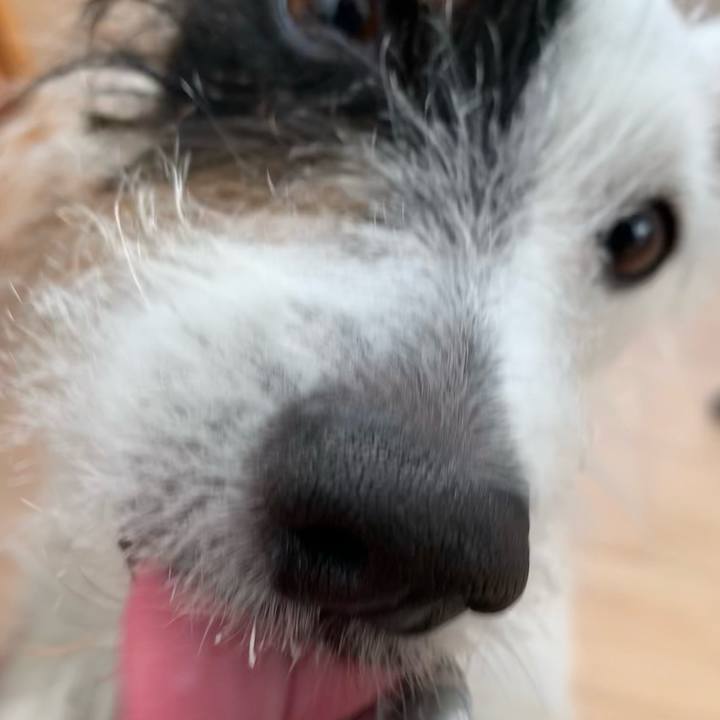 74387c8a c158 4914 ad60 06aba782a710 1608943126539