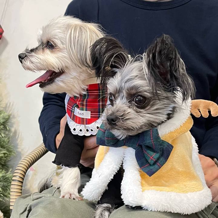 7438aca1 6d32 4a5f bf68 c5c880697925 1763419275812