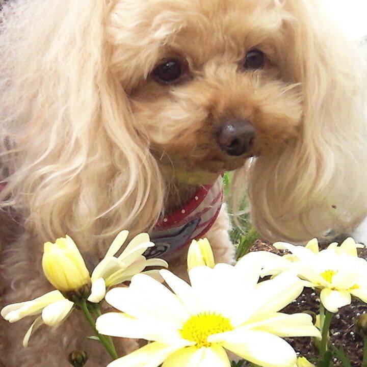 7438ea4d 28e7 440a b647 b26e3921c550 1523424632122