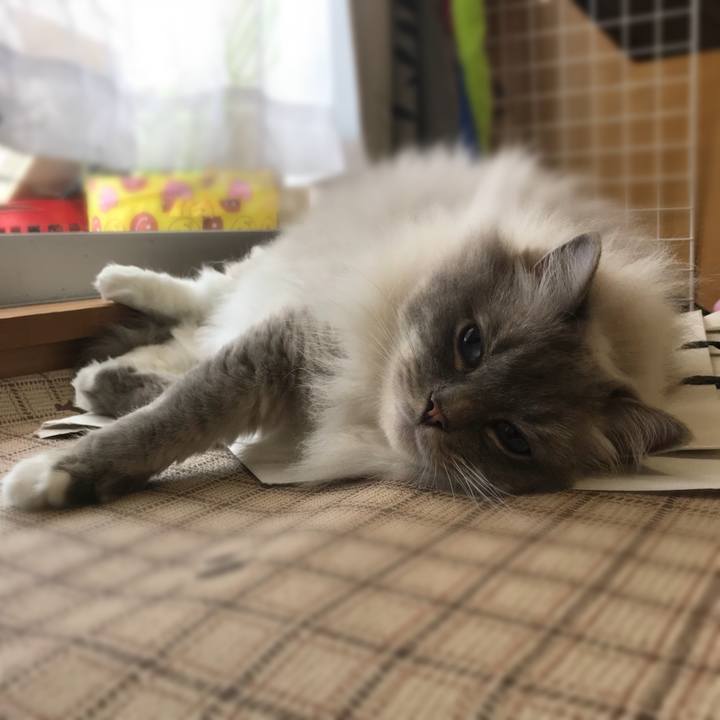 7438eff6 c5d0 41bf 8d91 766085423fae 1528843361801