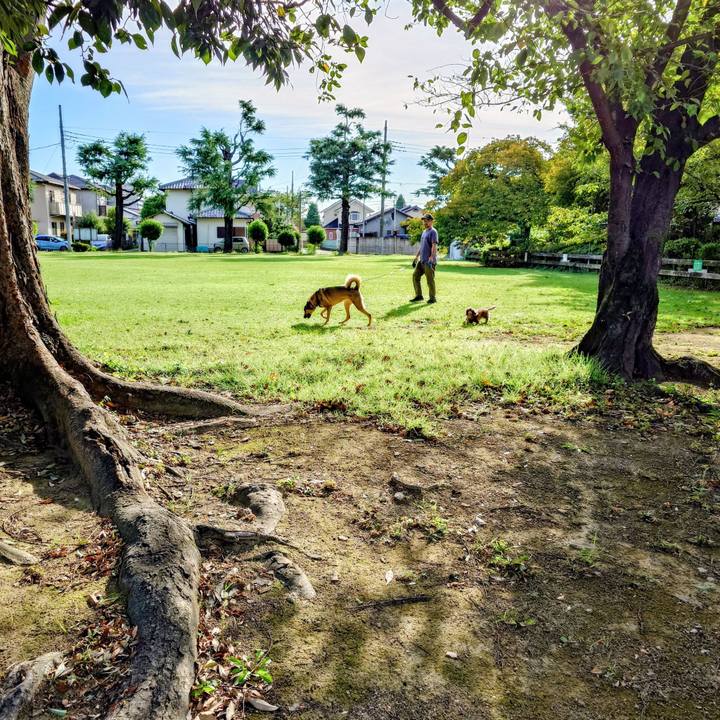 74390c5b 8ac5 428e 98c6 89d83287c91e 1758552705673