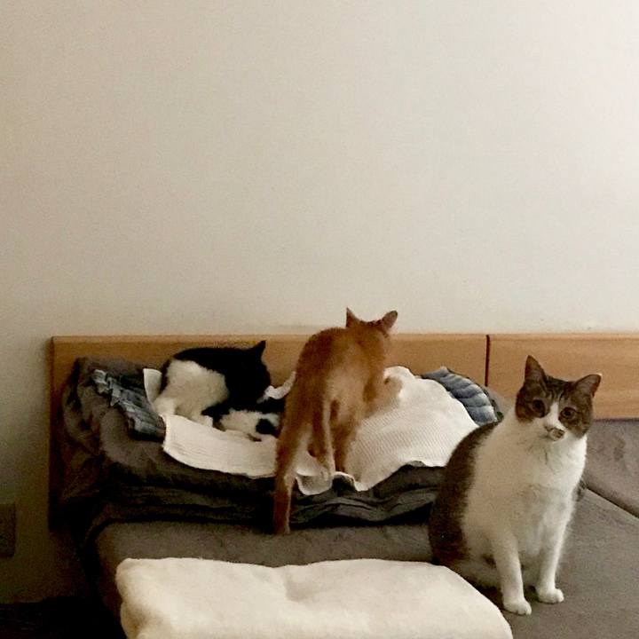 74391379 0335 458b 8266 cb20b30091cb 1566962967702