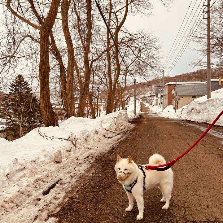 743922c1 9818 4a06 a797 57f5b48a2783 1740882178082