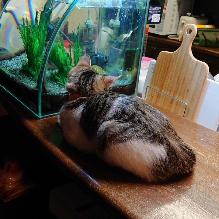 7439586f 8508 4695 b4bd 579ced7910c9 1546863864586