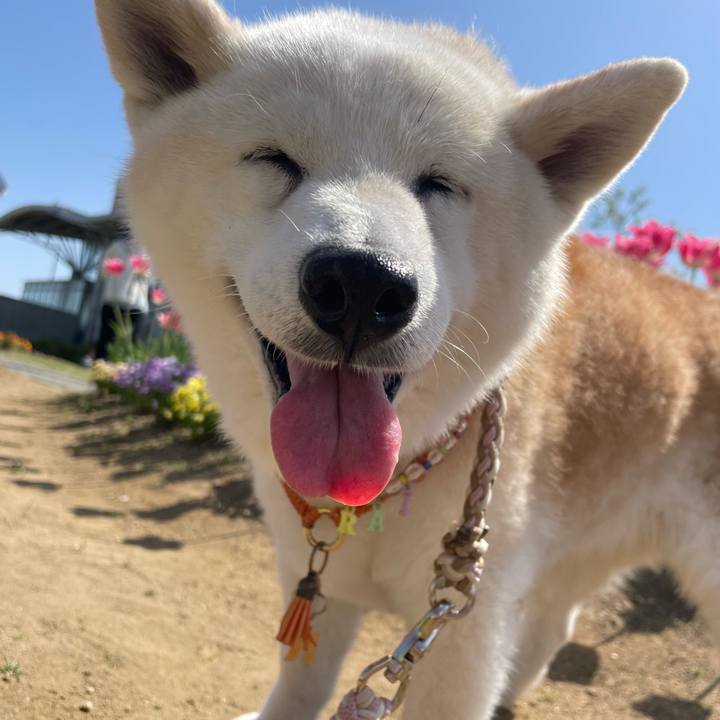 743994eb e8f8 4290 af62 1ec18f1f1274 1714886823513