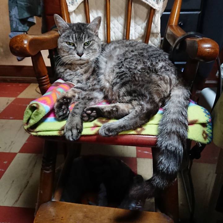 7439a8e2 13b6 4db4 bda6 49d139aa3d73 1578311177462