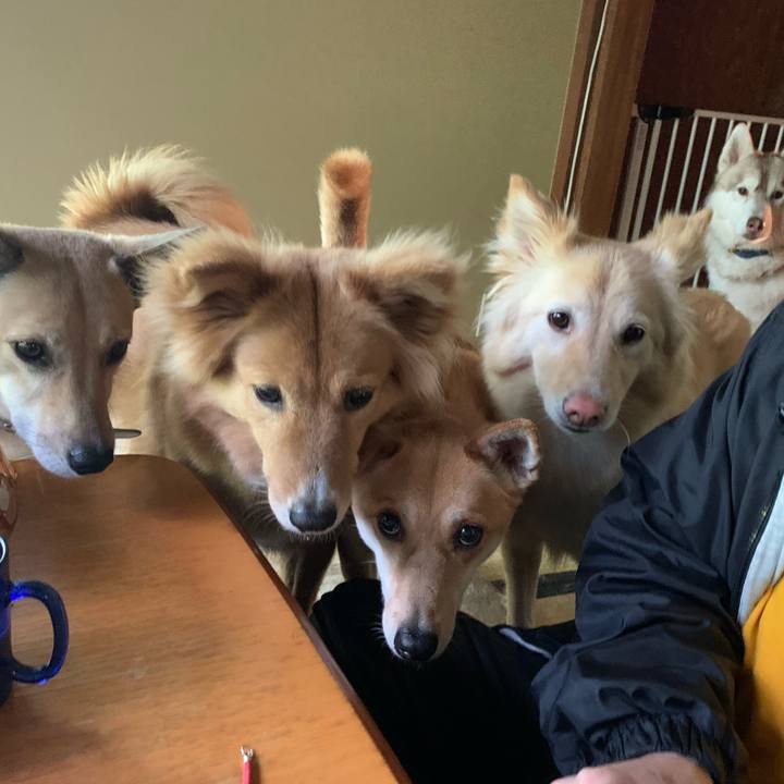 7439ef70 5411 41b6 9b52 624a2ebdb68c 1589812786635