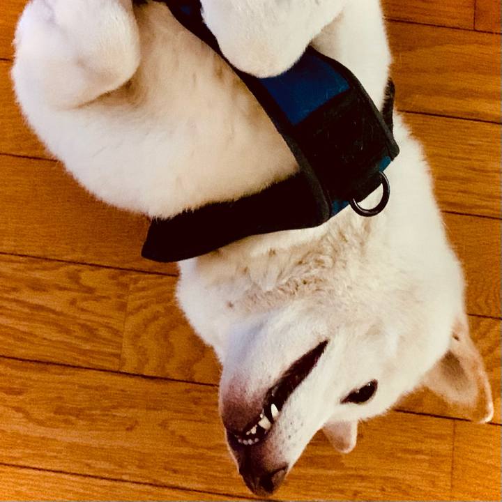 7439f04f ad1c 492d a110 88783d4187d4 1631535422468