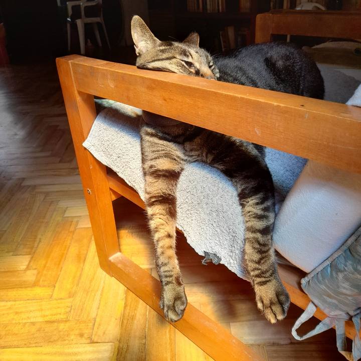 743a25fb 579c 4e73 939a 08502bcb19d2 1758246429956