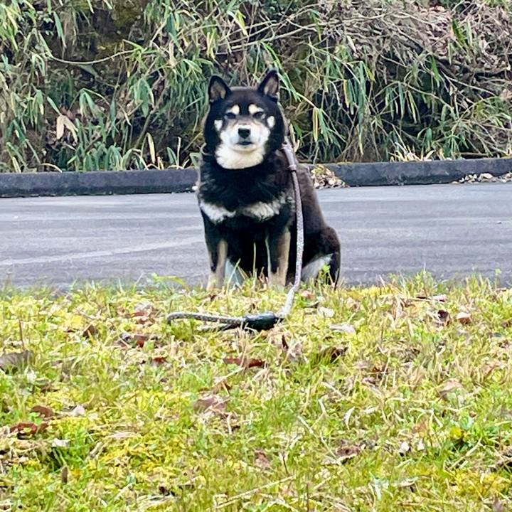 743a55fe 51ec 4191 8802 d08d1bef5a49 1679218776601