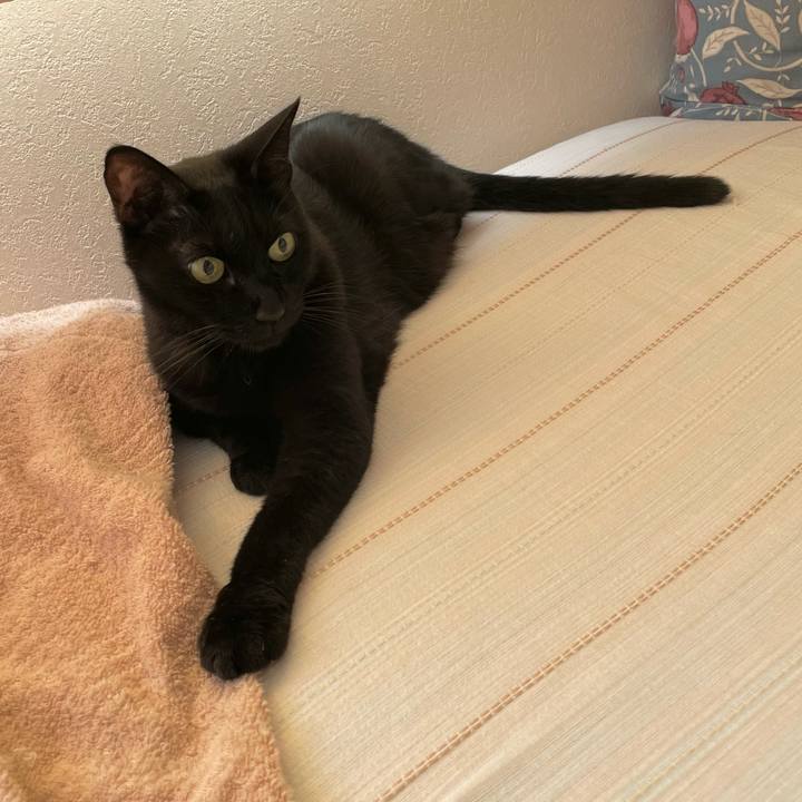 743a674c edda 4fa3 8d95 bccc0bb4d696 1756522711861