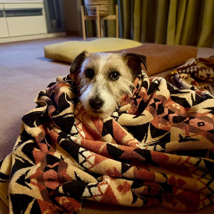 743a8c6f d417 4f97 a200 32585bcfe81e 1771590324888