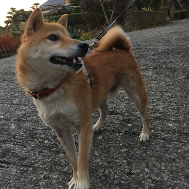 743a90e5 0b2d 4afb 9b0b 1763af27129d 1541508290900