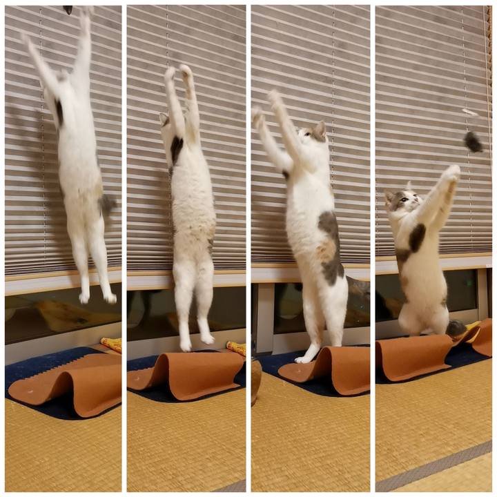 743a92e8 df81 4b42 b487 01e83843959d 1607070713321