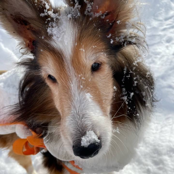 743aa3b6 76c6 483e 82c7 c9c3f39f299b 1644034725539