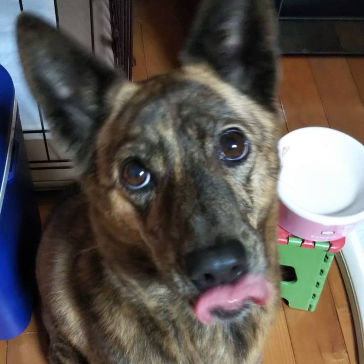 743aae77 fda9 47f7 96cf e7881da17dc6 1575976125229