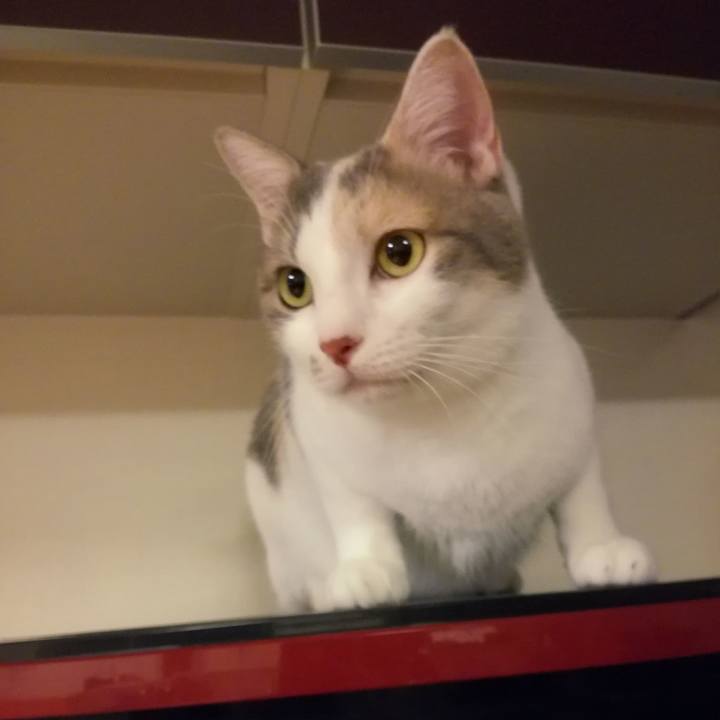 743ae29e 51c3 4034 860f bd5f18cce9cd 1537233371743