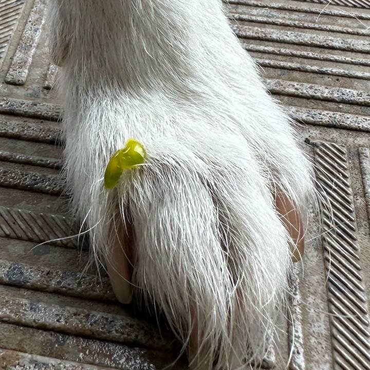 743afc40 2543 4db0 bf08 5e4c8d3b5920 1687921230453