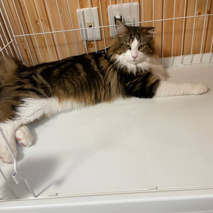 743b149c b2c6 41f7 99fd 6f8fd2b1fa64 1647123189158