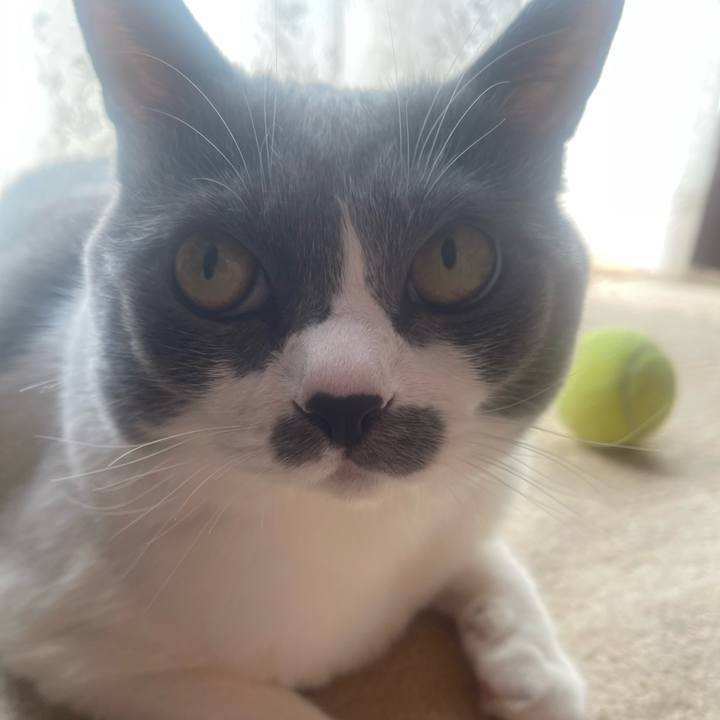 743b1d0f ad8c 4210 ab38 7c36c990aeac 1757377086333