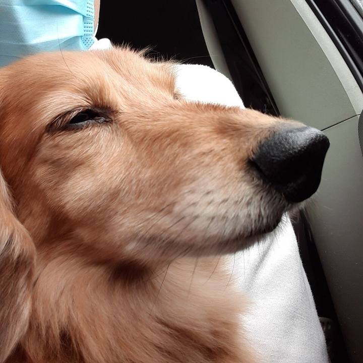 743b27f9 7dae 454e 9ca9 7578ae99f72e 1617454748749