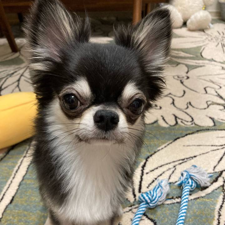 743b4de3 8617 4ef5 8a9e 55ef12e6bdcd 1628344069660