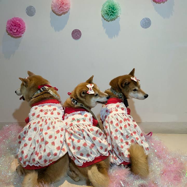 743b5104 f5d5 4ebb bdac 9f34985a3c50 1720328910679