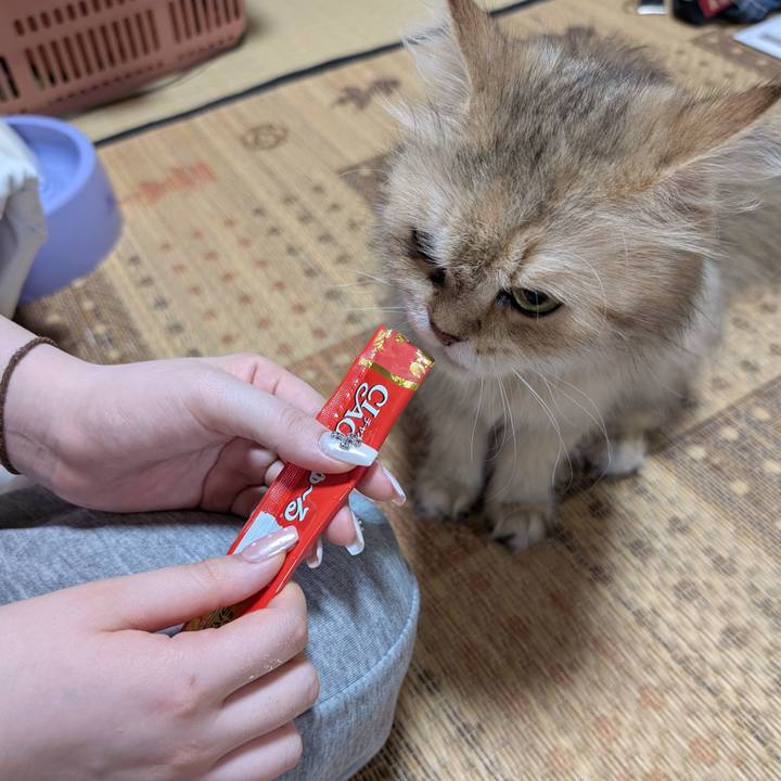 743b6ae4 f45b 460b aae6 e9efef575c57 1750594298999