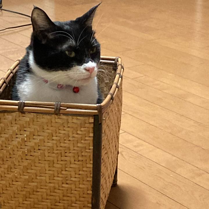 743b7382 65b4 465c aac1 01f28349aa2b 1616159004751