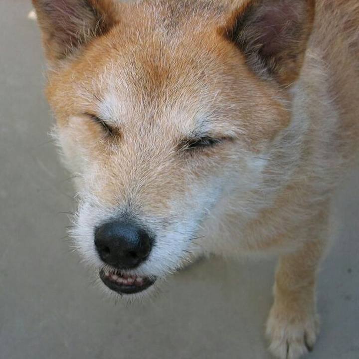 743b8dd5 15eb 4416 bcb9 3f2a6136f3d8 1560412741345