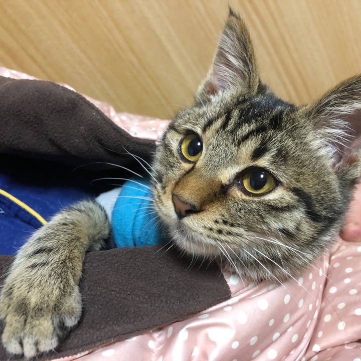 743bcc47 d4f2 439d 9235 3c0b575e83be 1732619817026