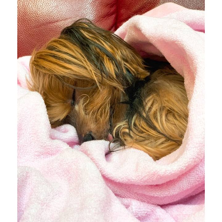 743be410 27a3 4458 b680 02290c6ecddf 1565307550019