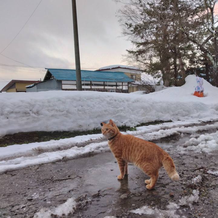 743be605 f40b 4e9f a671 917a3d603e3e 1672096835964