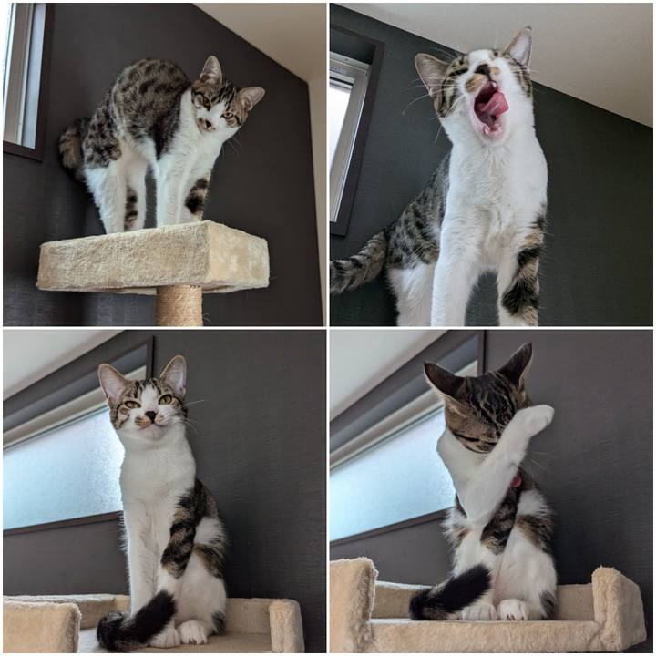 743be75d 6b96 4ddb 8f86 32705f246a69 1730368016638