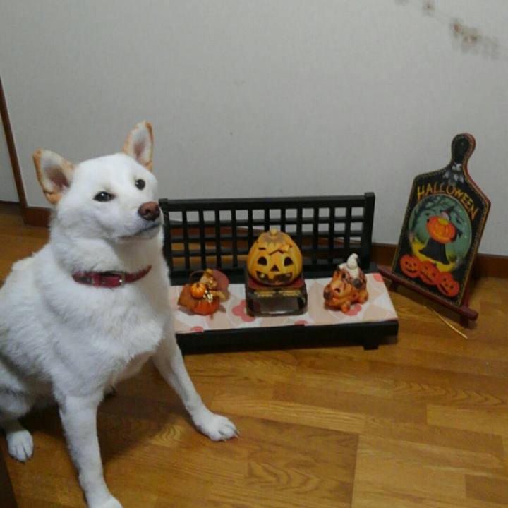 743c7f81 20c5 4742 b962 10ae7a7183ea 1508656452478