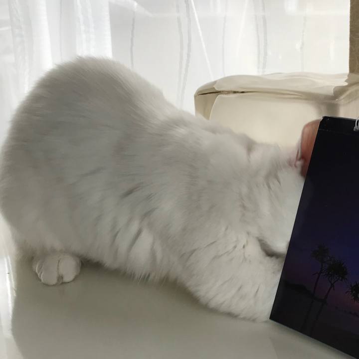 743c9622 fc15 4098 b19f ab823c53f1c7 1512004872791